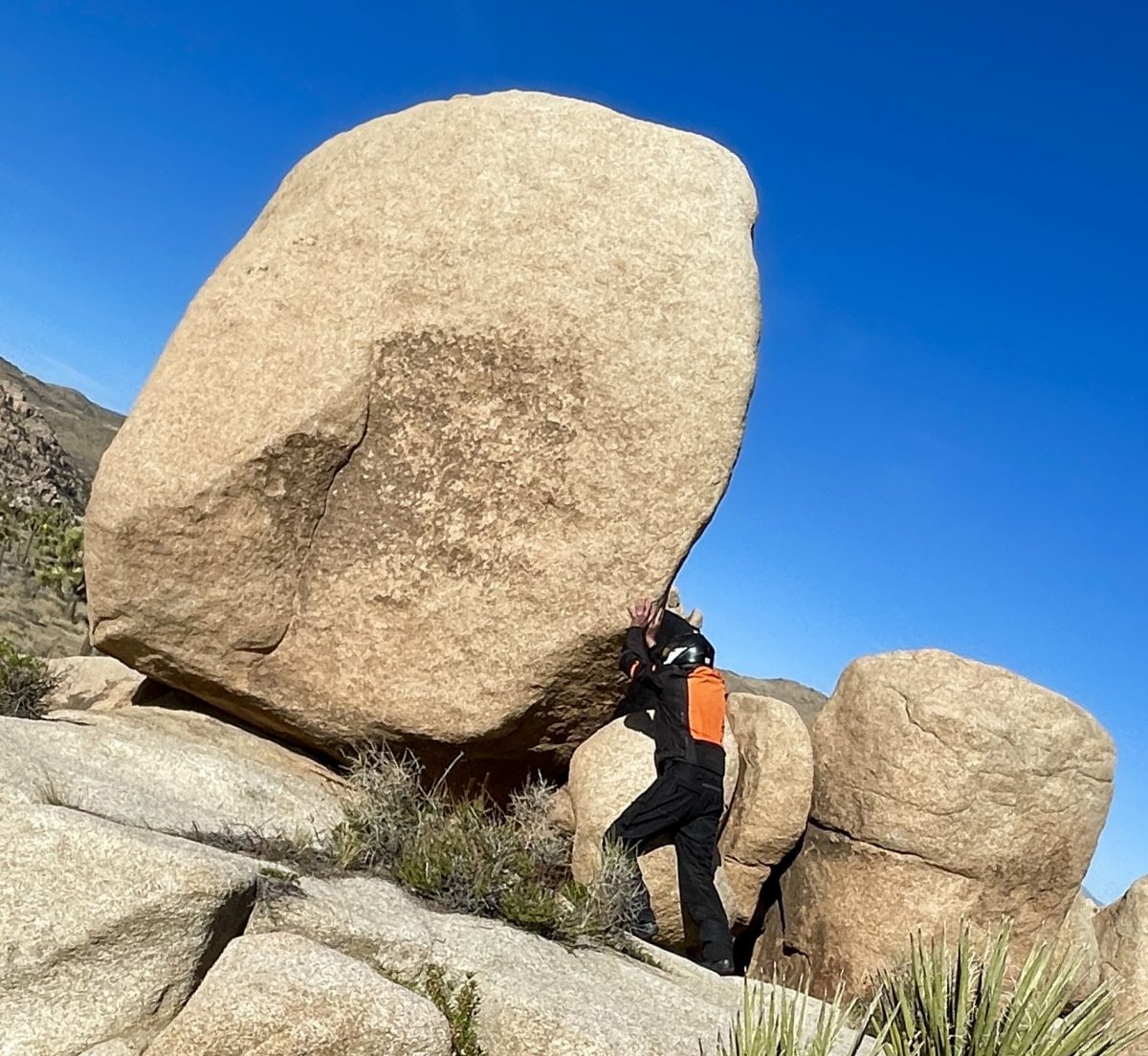 Sisyphus and Associates